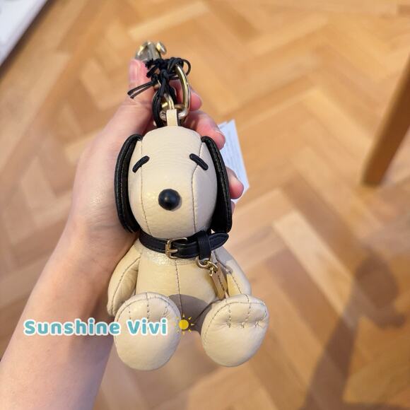 NWT Coach X Peanuts Snoopy Collectible Bag Charm Brass/Multi CBH29 - Picture 1 of 6